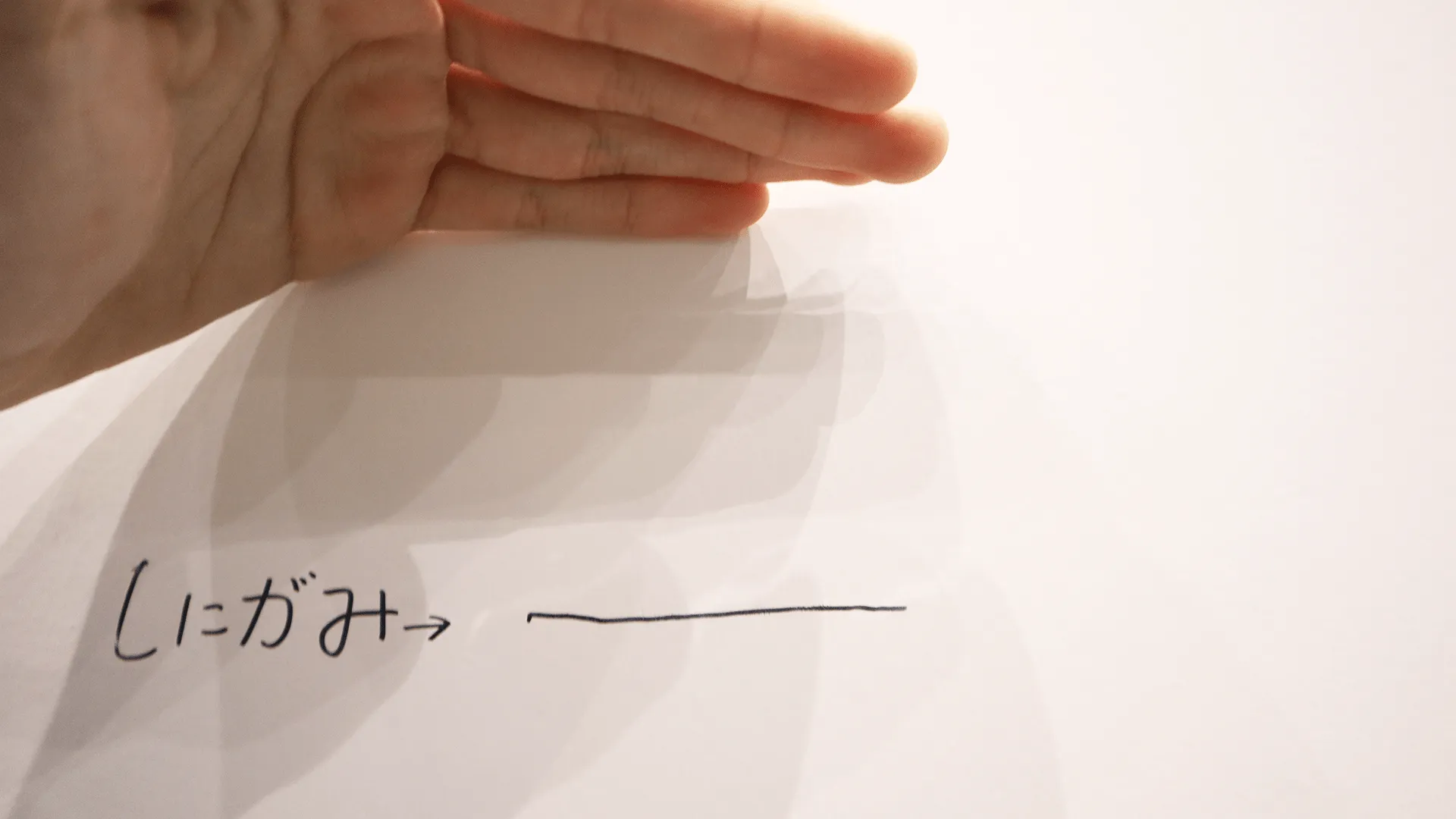 しにがみくんとたこかけの身長差